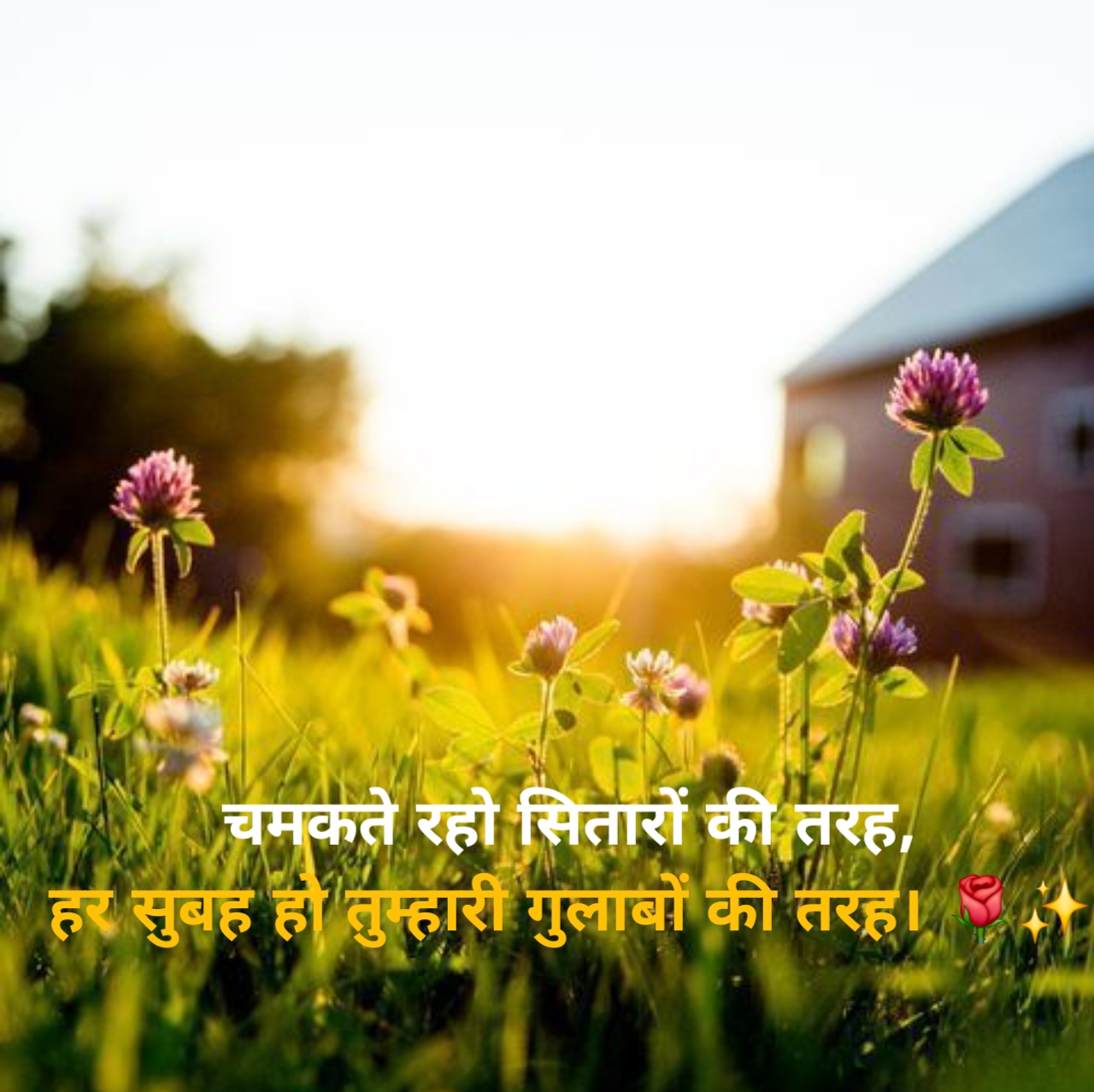 Good morning Shayari in Hind 