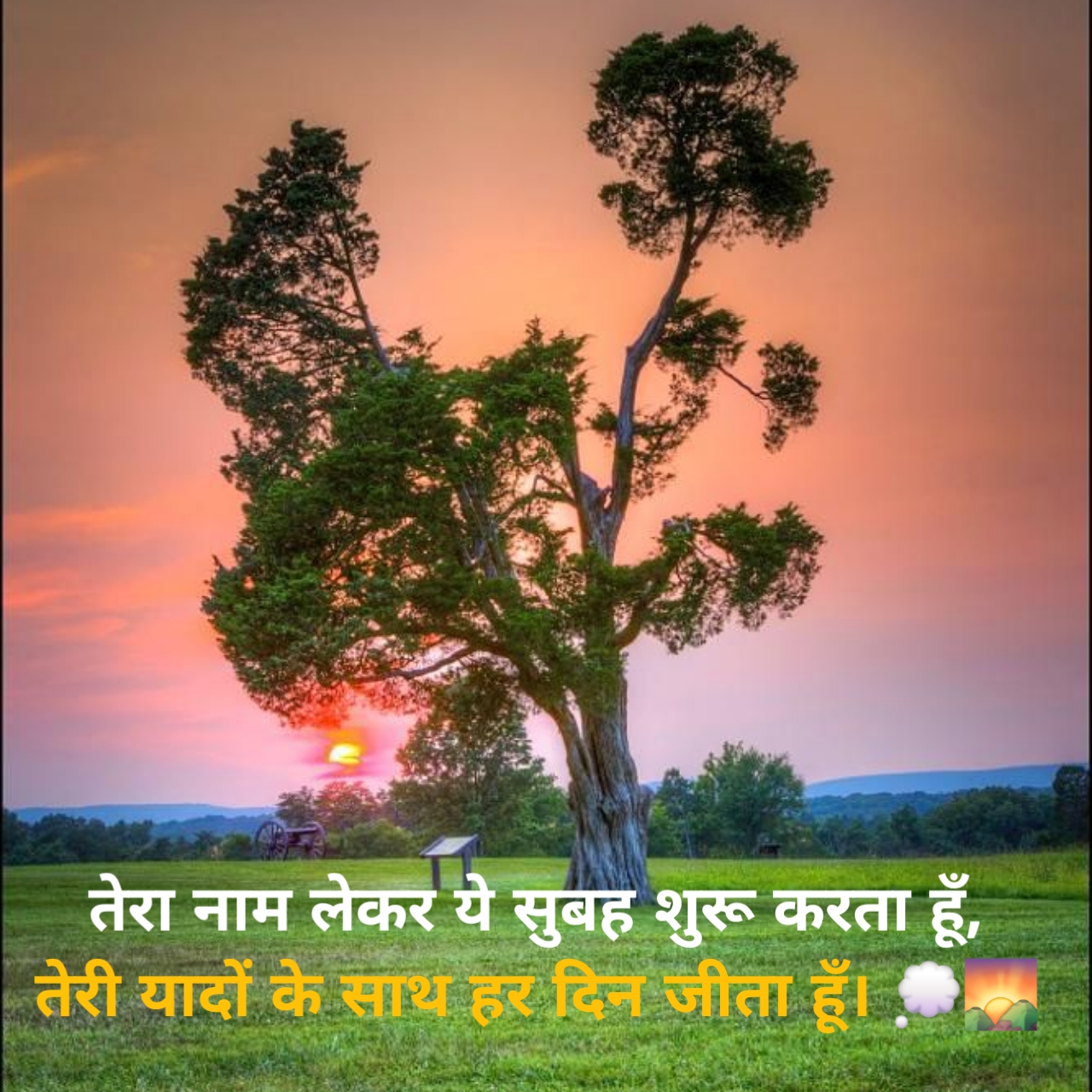 Good morning Shayari in Hind 
