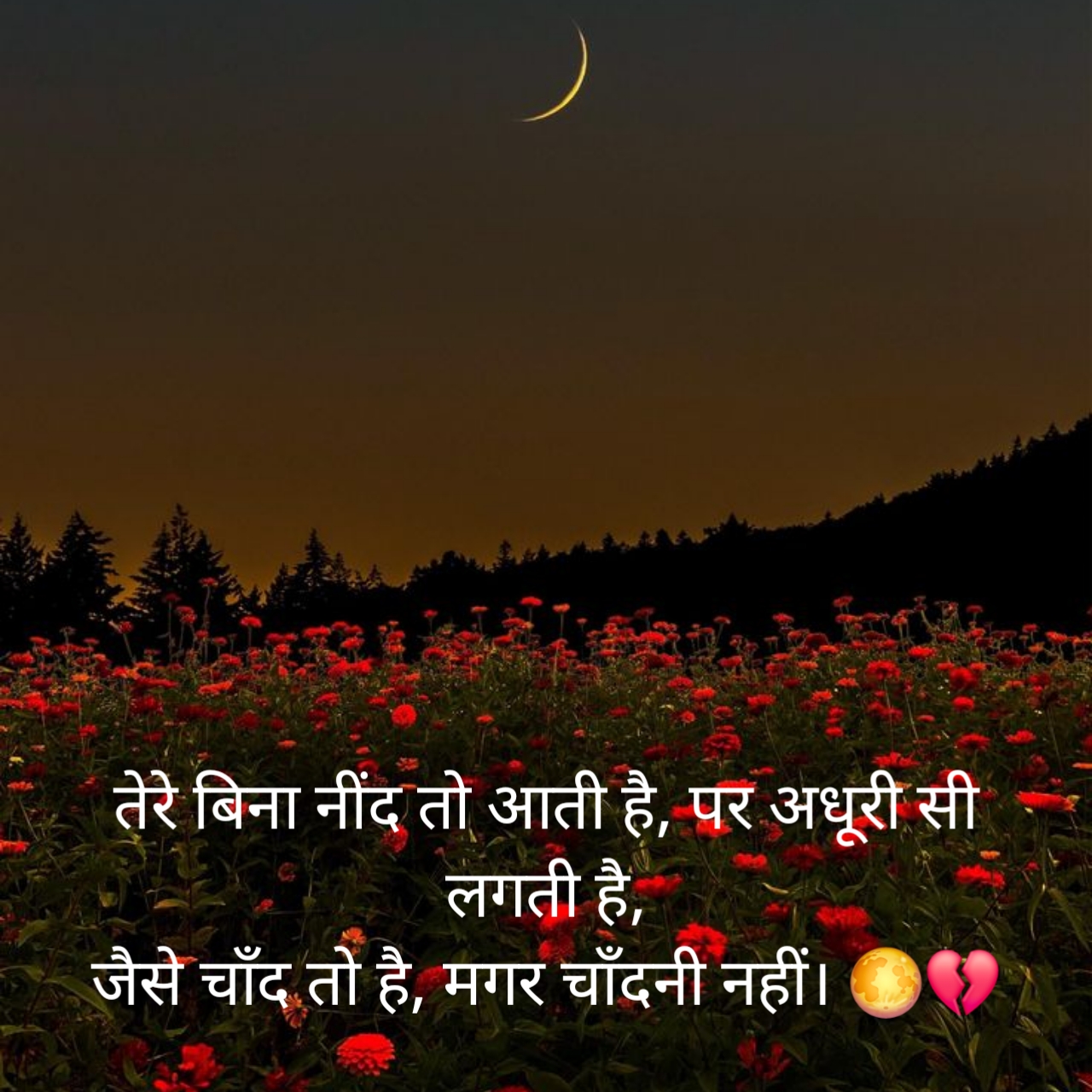Good Night Shayari love