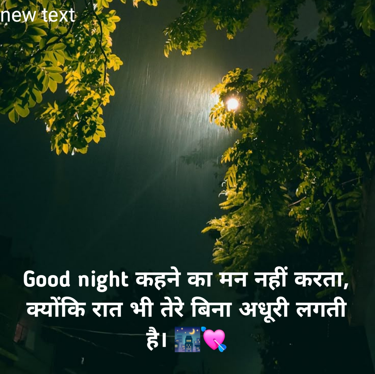 Good Night Shayari love
