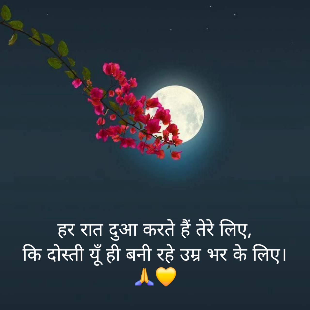 दोस्त गुड नाईट शायरी